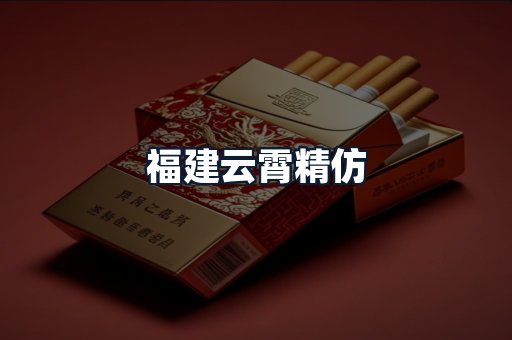 福建云霄精仿